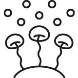 Icon von Schimmelpilzen